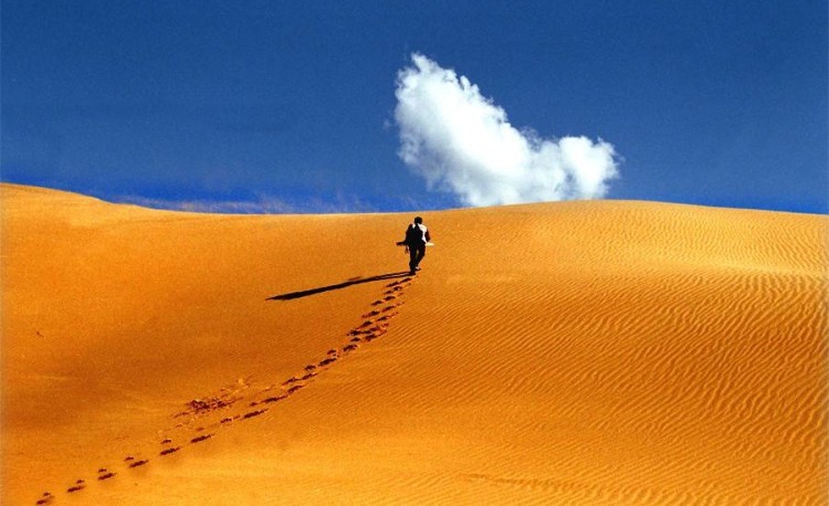 业外资本做白酒为何步履维艰?原来都有这8大通病!