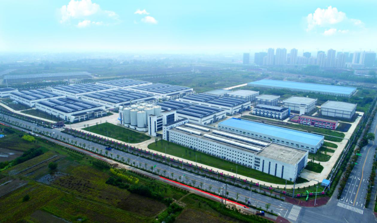 聚焦6大变革,金种子蓄势待发