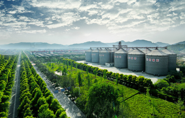 单位——明清泰安作坊遗址出发,媒体代表团一行参观了312制曲生态园